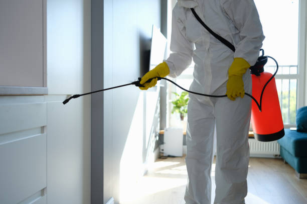 Best Home Mold Removal  in Fort Polk North, LA