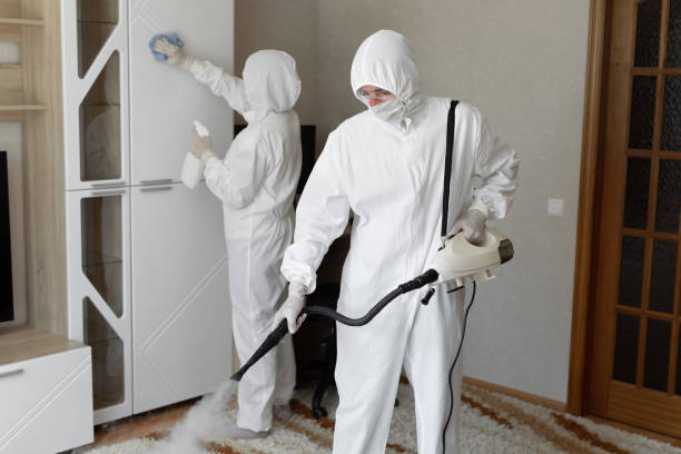 Best Toxic Mold Removal  in Fort Polk North, LA