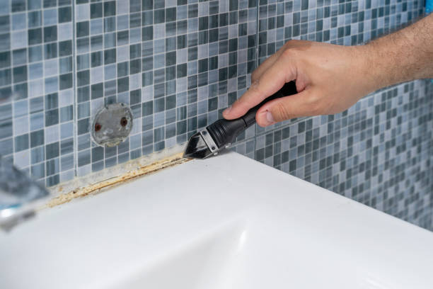 Best Best Mold Removal Companies  in Fort Polk North, LA