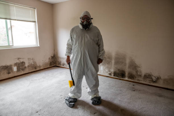 Fort Polk North, LA Mold Removal Company